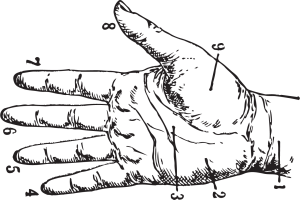 hand illustration in black and white